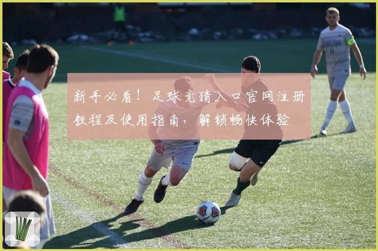 新手必看!足球竞猜入口官网注册教程及使用指南,解锁畅快体验