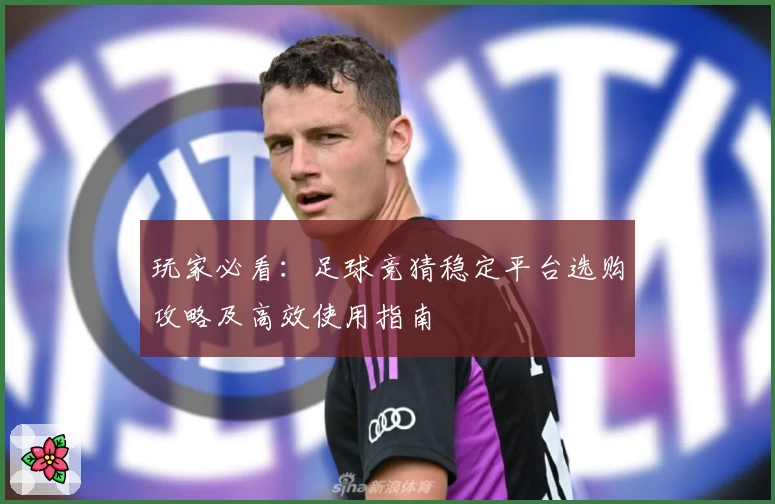 玩家必看：足球竞猜稳定平台选购攻略及高效使用指南