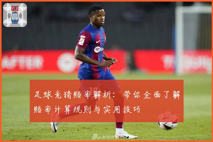 足球竞猜赔率解析：带你全面了解赔率计算规则与实用技巧