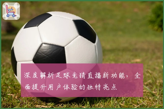 深度解析足球竞猜直播新功能，全面提升用户体验的独特亮点