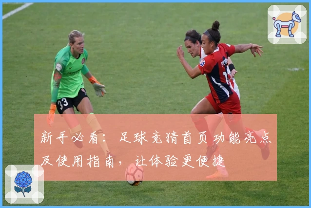 新手必看：足球竞猜首页功能亮点及使用指南，让体验更便捷